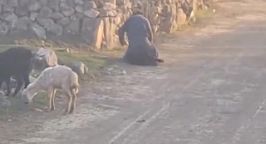 MHP'li vekil, kötü muamele gören hayvanlardan birini sahiplendi