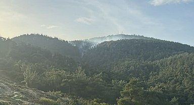 Milas'ta orman yangını; 2 hektar alan zarar gördü