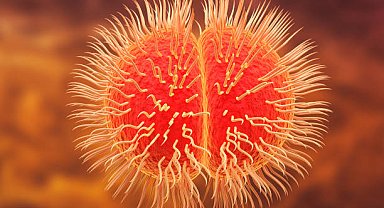 Moğolistan'da ikinci menenjit vakası bildirildi