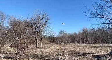 New York'taki orman yangınlarına ilişkin soruşturma başlatıldı