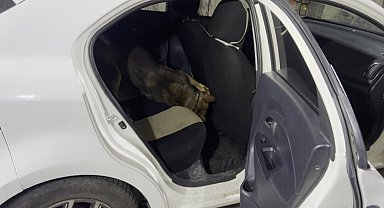 Otomobilin konsolu altındaki uyuşturucuyu 'Mailo' buldu