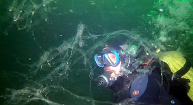 Prof. Dr. Tecer: Müsilaj Marmara Denizi'ni istila etmiş durumda