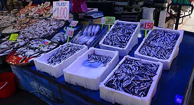 Rize'de deniz suyu ısındı; balık bolluğu azalsa da çeşitlilik sürüyor