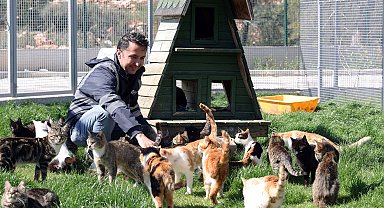 Sahipsiz canlar bayramda ziyaretçilerini bekliyor