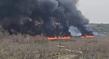 Sakarya'da başlayan yangın Kocaeli'ye sıçradı, 12 hektar ağaçlık alan yandı Yeniden
