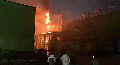 Sakarya'da, treyler fabrikasındaki yangın söndürüldü