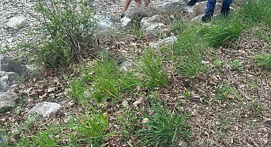 Sapanca Gölü'nde kum fırtınasına yakalanan 2 kano sporcusu kayboldu