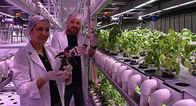 Şehir hayatının yorduğu mühendis ve öğretmen çift, topraksız tarım üreticisi oldu