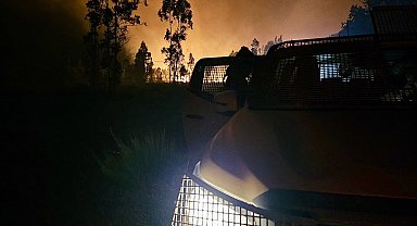 Şili'de orman yangını: 2 bin kişi tahliye edildi