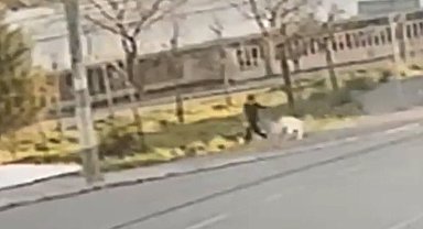 Sokak köpeğinin saldırısına uğrayan çocuk yaralandı; o anlar kamerada