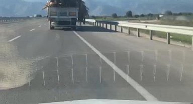 Tahta ve tomruklar yola saçıldı; şoför aldırmadan devam etti