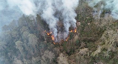 Trabzon'da örtü yangını; 10 dönüm alan zarar gördü