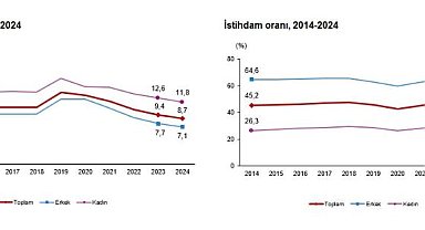 TÜİK: 2024'te işsizlik oranı yüzde 8,7 oldu