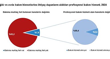TÜİK: Hanehalklarının yüzde 7,8'i evde bakım hizmetine ihtiyaç duyuyor
