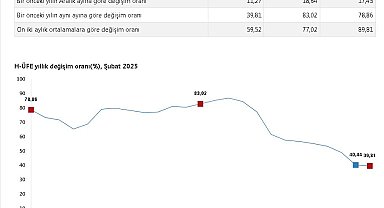 TÜİK: Hizmet üretici fiyatları şubatta arttı