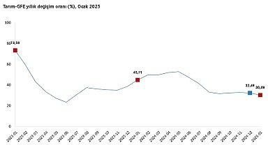TÜİK: Tarımsal girdi fiyatları ocakta arttı