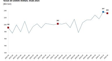 TÜİK: Tavuk eti ve yumurta üretimi azaldı, içme sütü üretimi arttı
