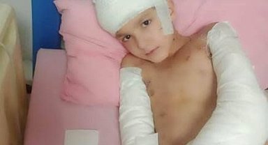 Tunahan'ın köpek saldırısında ağır yaralamasında 2 sanığa 1'er yıla kadar hapis istemi