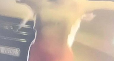 Tünelde dans edip, araçları durdurmaya çalışan kadın serbest