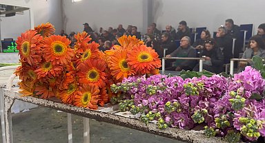 Yalova'da çiçek mezadında '8 Mart' yoğunluğu; en çok gül ve karanfil tercih ediliyor