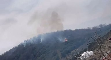 Yalova'da orman yangını, yarım saate söndürüldü