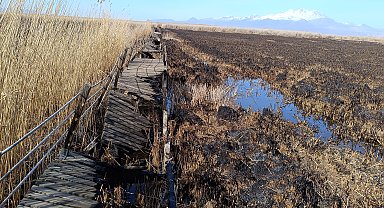 Yangında zarar gören Sultan Sazlığı Milli Parkı'nın yürüyüş yolu, tadilat bekliyor