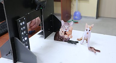 Yapay zeka destekli 'Solo Pati' ile kedilere akıllı giriş kapısı