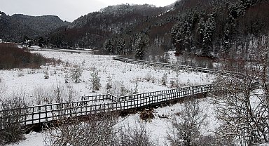 Yedigöller Milli Parkı'nda karavanlı konaklama, Abant'ta şambrelle kaymak yasaklandı