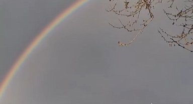 Zonguldak'ta sis etkili oldu