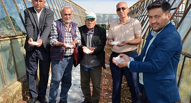 10 dakika süren dolu, Serik'teki seralara zarar verdi