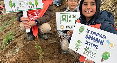 '81 İlde 81 Orman' projesi Bitlis'te