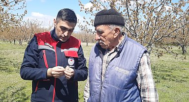 'Bu sene kimse bölgeden kiraz beklemesin'