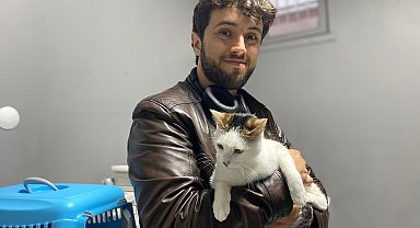 'Esenboğa' kedisine yeni yuva