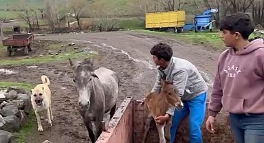 'Kral', yine yalnız bırakmadı