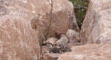 'Yılan Pınarı'nda yuvalarından çıkan yılanlar için uyarı