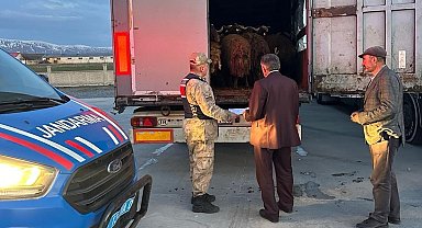 Ağrı'da çalınan 300 küçükbaş, Bitlis'te jandarmanın durdurduğu TIR'larda bulundu