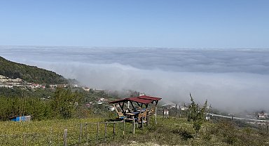 Amasra'da sis etkili oldu