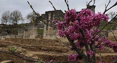 Antik tiyatro baharın gelişiyle renklendi