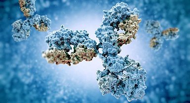 Araştırma: Bağışıklık sistemi, insanların ruh halini etkiliyor