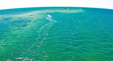 Araştırma: Dünya'nın okyanusları bir zamanlar yeşildi