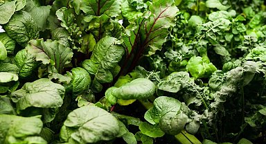 Araştırma: K vitamini eksikliği bilişsel gerilemeye neden oluyor