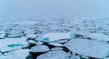 Arktik buz örtüsü son 40 yılın en düşük seviyesinde