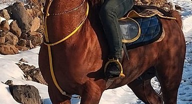 Atının üzerinde kalp krizi geçiren ciritçi hayatını kaybetti