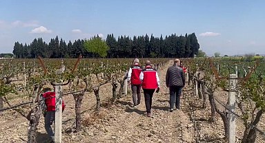 Bakan Yumaklı: Tarihimizin en büyük 'zirai don' olaylarından birini yaşadık