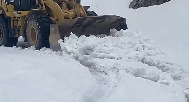 Batman'da kardan kapanan 65 yerleşim yerinden 61'inin yolu açıldı