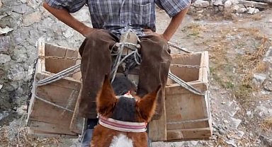 Beyin ölümü gerçekleşen motosiklet sürücüsünün böbrekleri 2 hastaya umut oldu