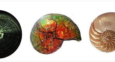 Bilim insanları, ışığın 'optik rotatum' adlı yeni yapısını keşfetti