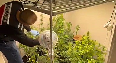 Bursa'da jandarmanın narkotik operasyonlarında 19 şüpheli tutuklandı