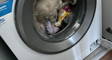 Çalışan çamaşır makinesinde sıkışan kediyi itfaiye kurtardı