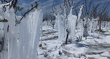 Çiftçilerden 'zirai don'a karşı 'Spring' sistemi